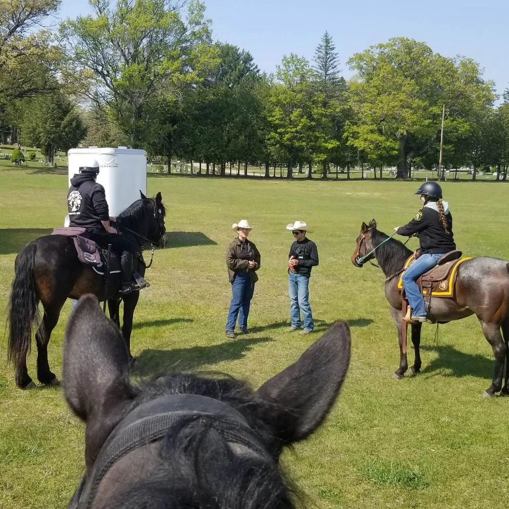 Mounted Police Training