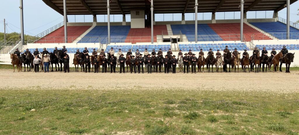 Mounted Police Training