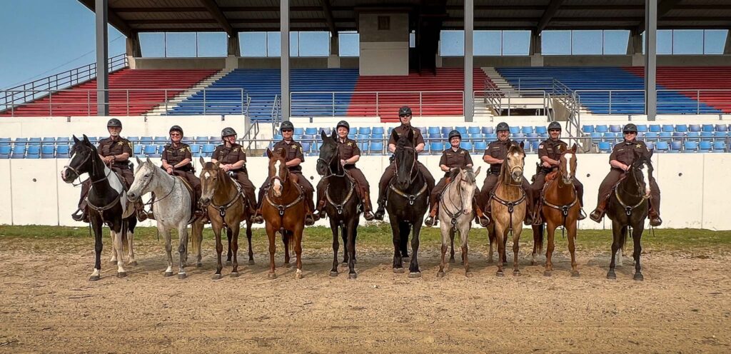 Mounted Police Training