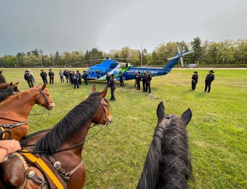 Posse Completes Mounted Police Training